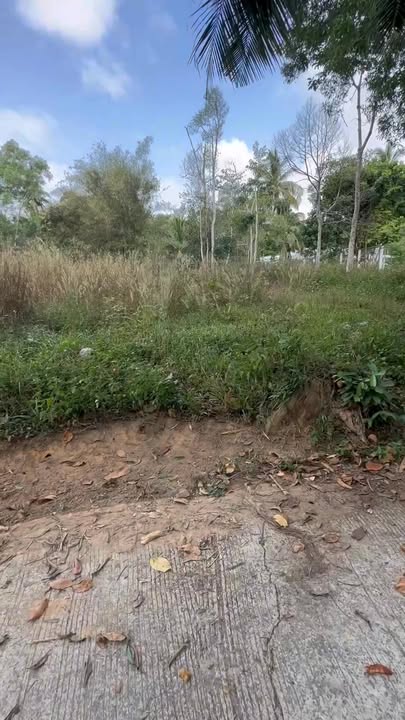 Đất Cửa Cạn Phú Quốc 2000m² giá thỏa thuận - Cơ hội đầu tư hấp dẫn!