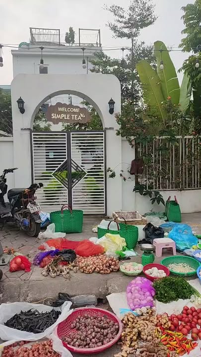 Lô đất chính chủ Khu đô thị Hồng Lạc Ninh Giang 100m² - Đầu tư sinh lời tuyệt vời!