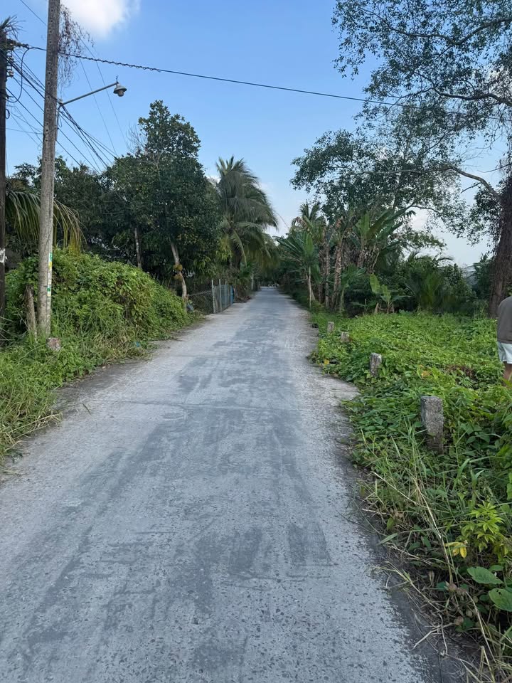 Đất vườn nghỉ dưỡng Phú Mỹ, Thường Thạnh, 660m² - Cơ hội đầu tư sinh lời!