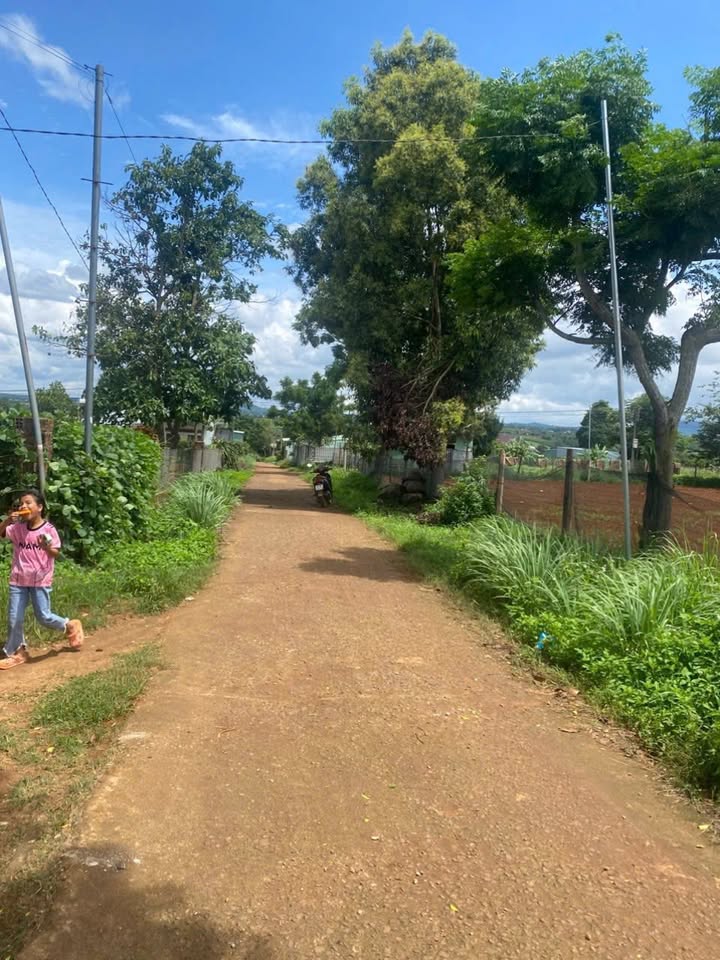 Đất nền Bùi Viện, An Phú, 120m² - Giá tốt, vị trí đắc địa!