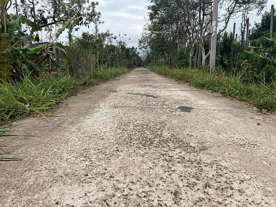 Đất nền xã Băng A Drênh 592m² giá 4 triệu - Cơ hội vàng đầu tư!