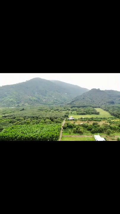 Đất nền Suối Cát, Xuân Lộc 9.200m² - Gần tỉnh lộ 763, view núi Chứa Chan!