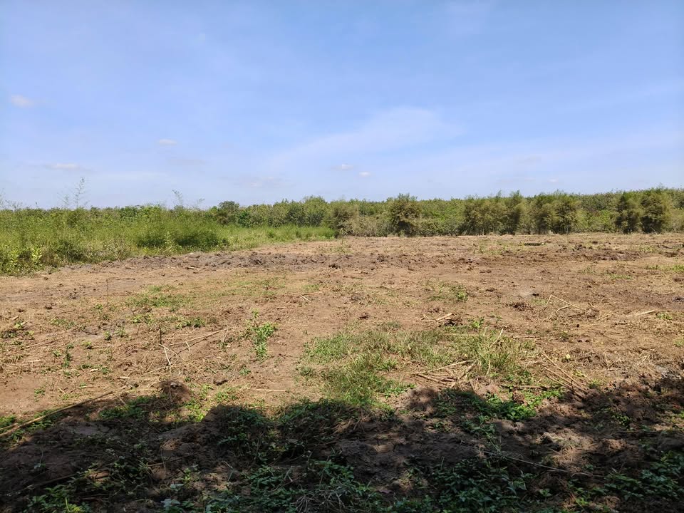 Đất Farm 10.000m² tại An Khương, Hớn Quản giá 850 triệu - Cơ hội đầu tư hấp dẫn!
