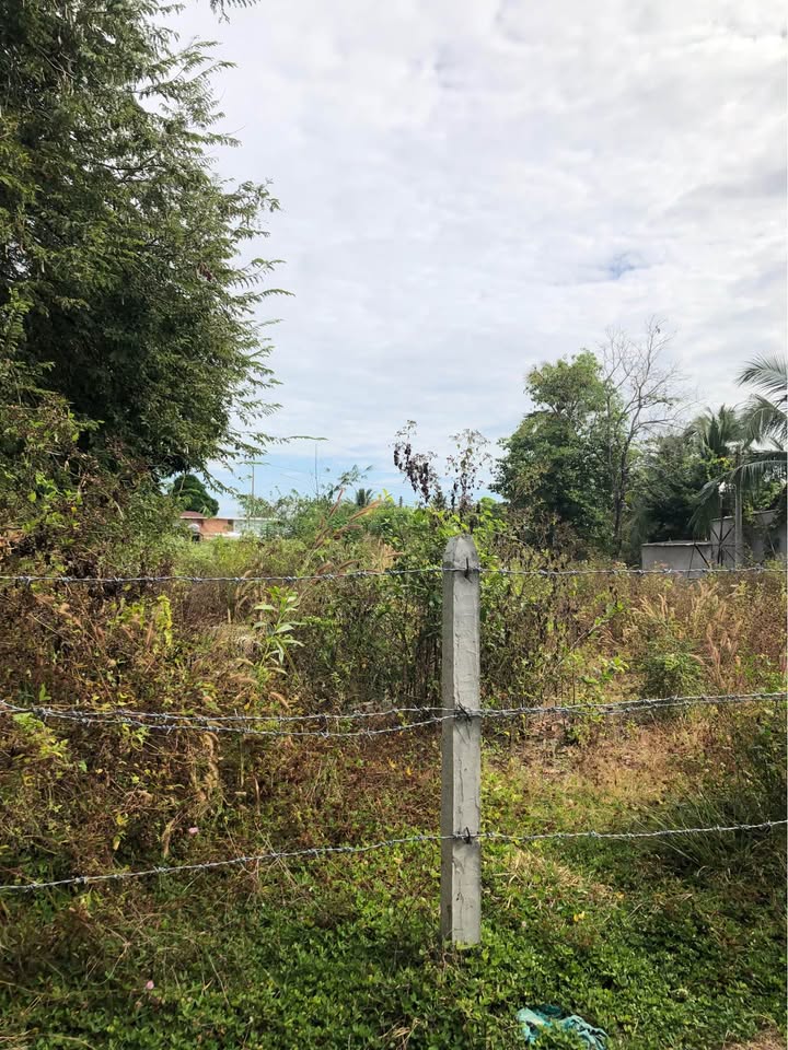 Đất nền liền kề Phú Điền, Tân Phú, 258m² giá chỉ 390 triệu - Đầu tư sinh lời ngay!