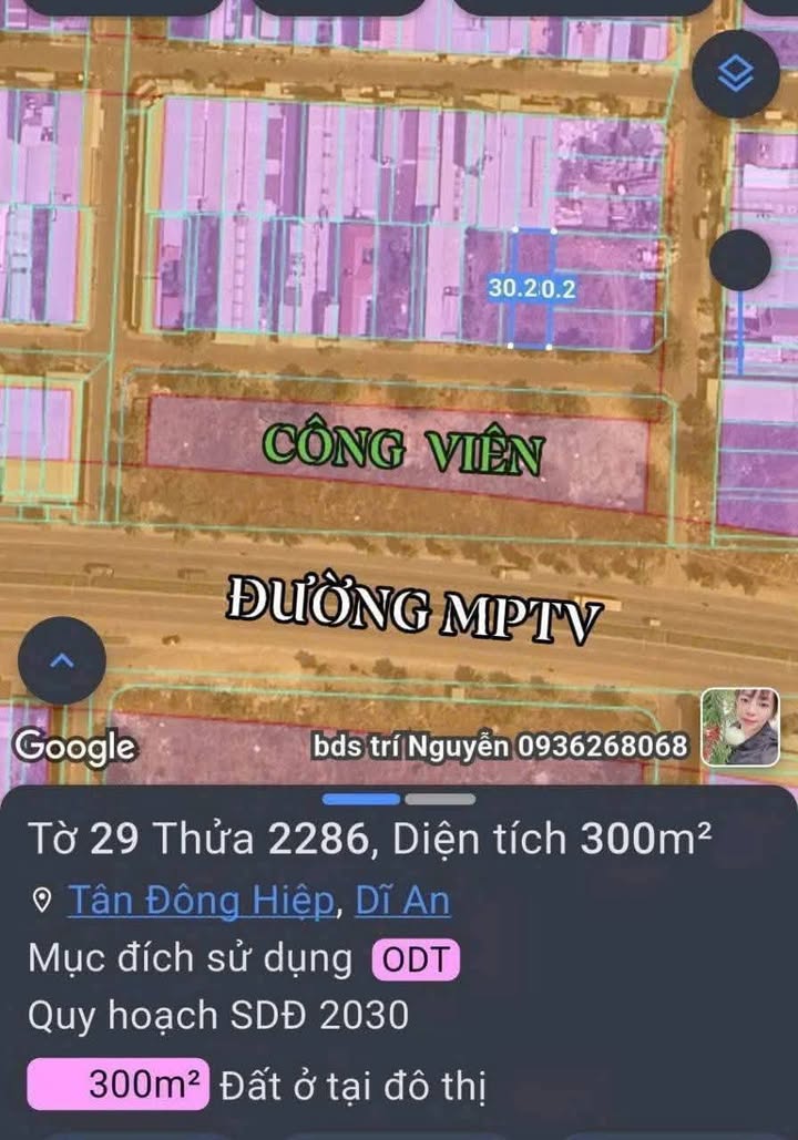 Đất nền Phường Tân Đông Hiệp 300m² giá 8.1 tỷ - Cơ hội đầu tư sinh lời rõ ràng!