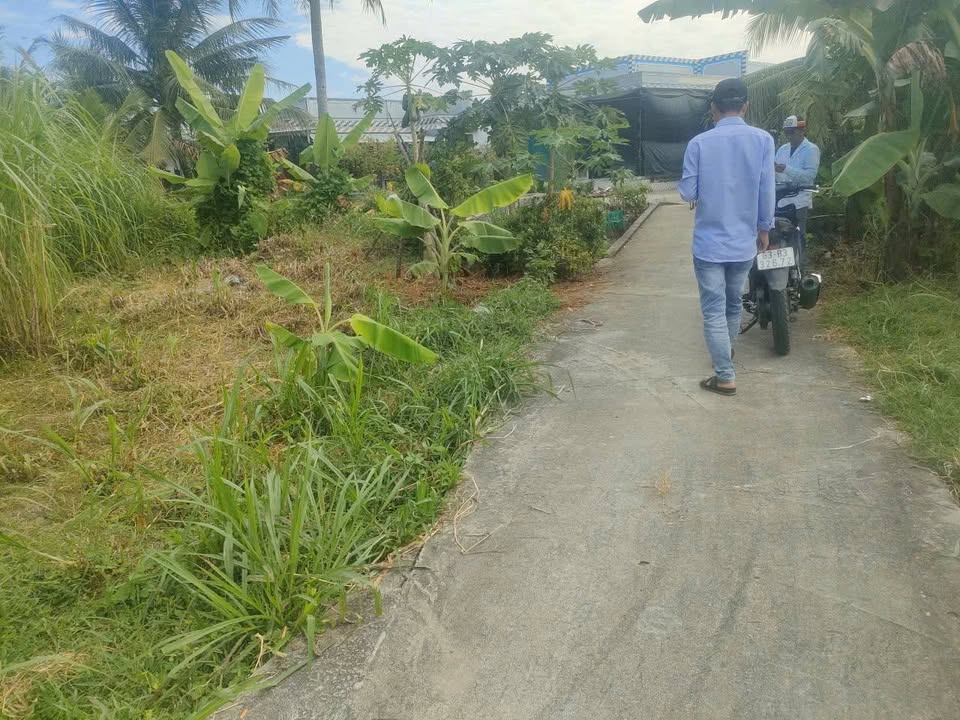 Đất thổ cư 425m² tại xã Bình Xuân, Gò Công - Giá chỉ 530 triệu!