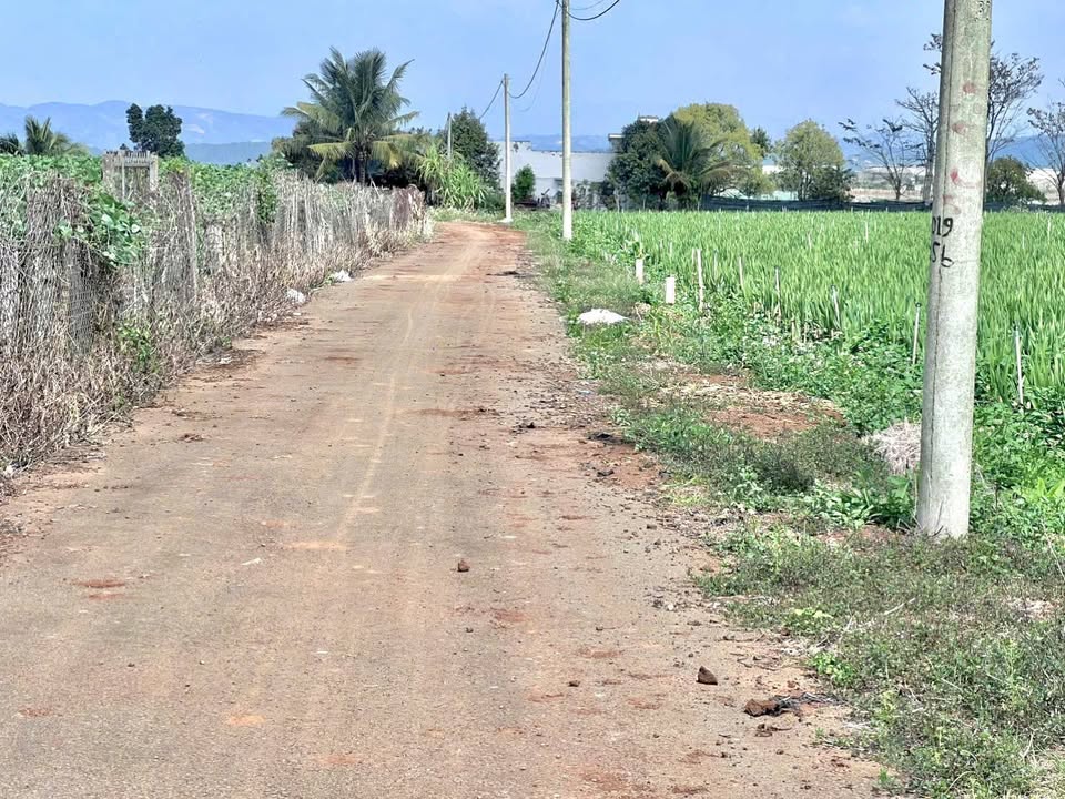 Đất thổ cư Tổ 34, Thị trấn Liên Nghĩa 125m² giá 810 triệu - Cơ hội đầu tư tuyệt vời!