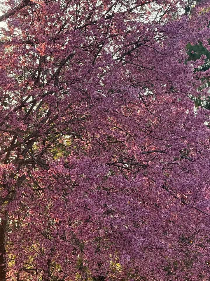 Nhà 1 trệt 1 lầu Cư Xá Đức Trọng 224m² giá 3.5 tỷ - Bán gấp cần tiền!