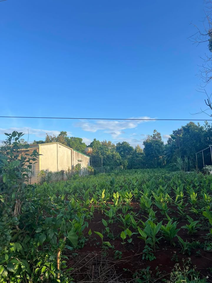 Đất nền Huyện Krông Bông 377m² giá 900 triệu - Địa điểm lý tưởng để đầu tư