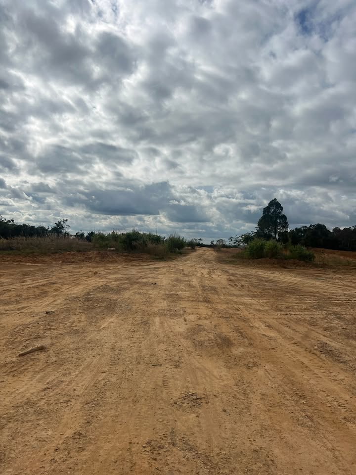 Đất nền 2ha tại Đắk Lắk chỉ 9 tỷ - Đầu tư sinh lời ngay!