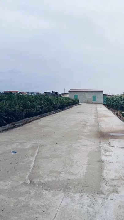 Đất nền Nhất Trai Minh Tân 95m² giá thỏa thuận - Đầu tư sinh lời ngay!