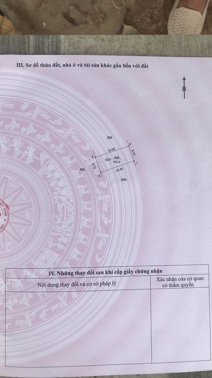 Đất thổ cư Phường Tân Định, Bến Cát 100m² giá chỉ 1 tỷ - Cơ hội đầu tư lý tưởng!