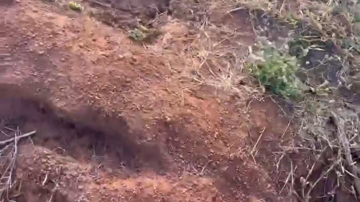 Đất nông nghiệp 5.2ha tại Thị trấn Chư Prông - Giá 3.25 tỷ, chính chủ!