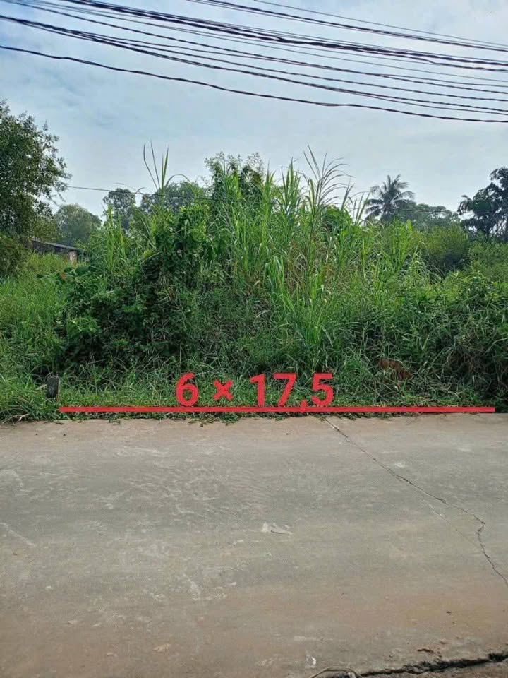 Đất nền hẻm ô tô Nguyễn Thị Lệ, 105m² giá 1 tỷ - Cơ hội đầu tư hấp dẫn!