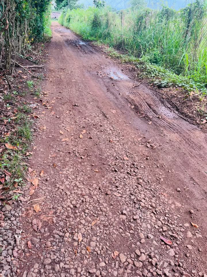 Đất nền 1 sào tại Kp Suối Chồn - Phường Bảo Vinh giá 1.2 tỷ - Cơ hội đầu tư sinh lời!