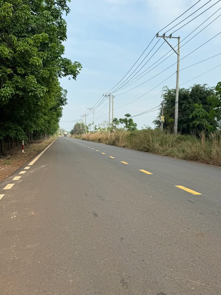 Đất Farm mặt tiền DT756, Xã Minh Lập, 16.000m² giá 11 tỷ - Cơ hội đầu tư hấp dẫn!