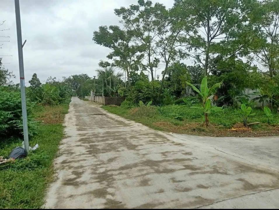 Lô đất Quảng Hợp 722m² giá 1 tỷ - Cơ hội đầu tư tuyệt vời!