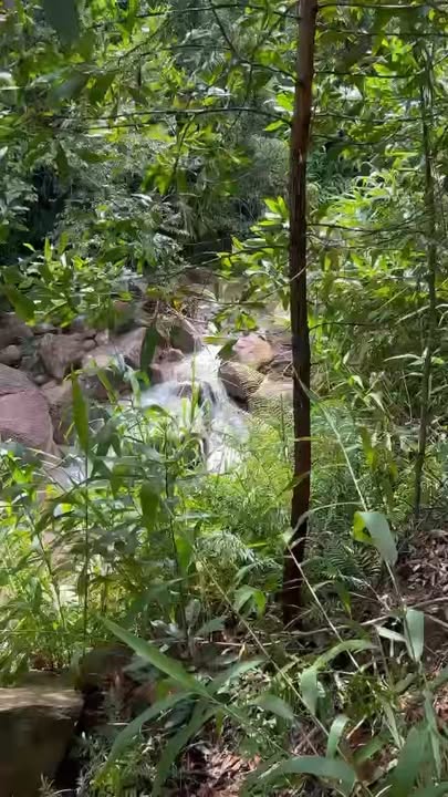 Đất rừng 30.000m² tại Thôn An Điềm, Huyện Đại Lộc - Giá chỉ 300 triệu!