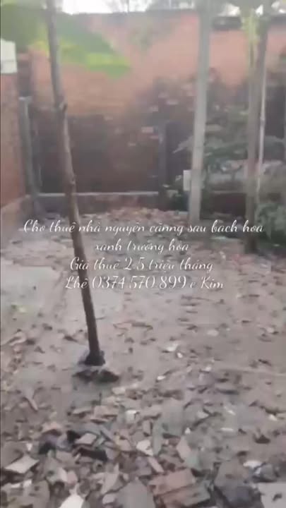 Nhà nguyên căn cho thuê tại Nguyễn Văn Linh, Trường Hòa, 2.5 triệu - Giá tốt không thể bỏ qua!