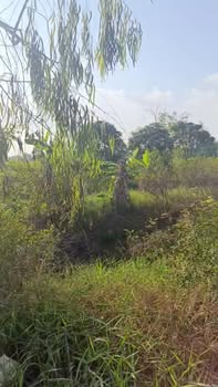 Đất nền 1000m² tại Long Xuyên, An Giang - Giá chỉ 650 triệu, thương lượng nhẹ!