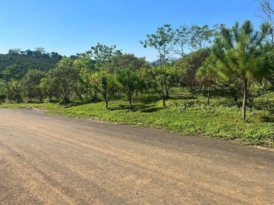 Đất nền Bảo Lộc 880m² giá 1.7 tỷ - Đường nhựa ô tô vào tận nơi!