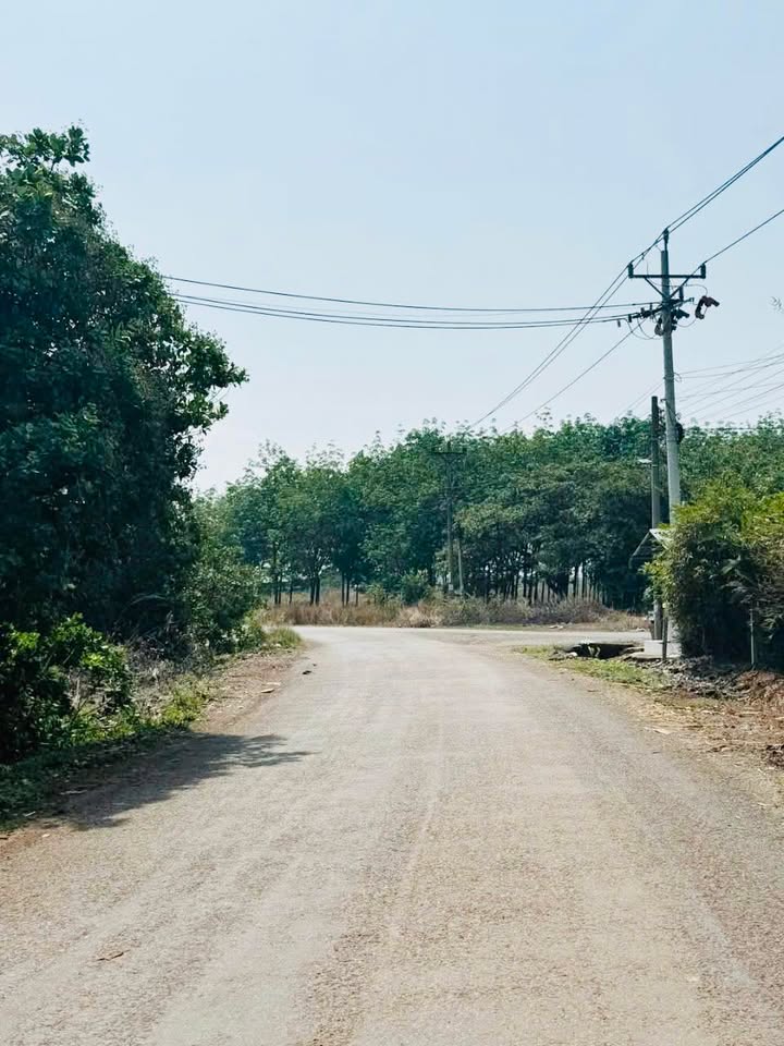 Đất nền Tiến Hưng - 195m² giá 600 triệu - Đầu tư sinh lời ngay!