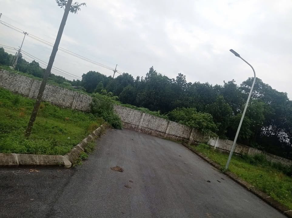 Đất nền thôn Trại Láng, xã Cổ Đông 67m² giá 1 tỷ - Đầu tư sinh lời hấp dẫn!