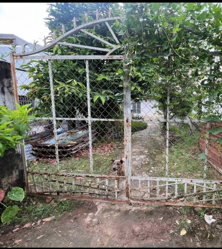 Nhà phố 7 Phú Lợi, Định Quán 299m² giá 1.35 tỷ - Bán gấp, sổ đỏ chính chủ!