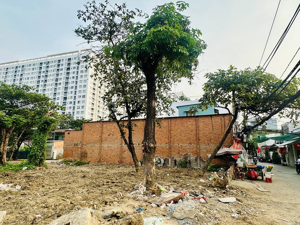 Bán nhà 2 tầng đường Trần Xuân Soạn, Quận 7, 100m² - Sổ hồng chính chủ giá 8 tỷ!