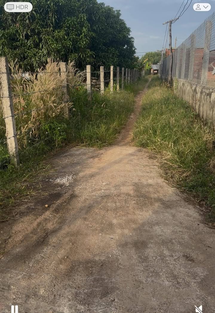 Đất nông nghiệp xã Ea Bung 1548m² giá 450 triệu - Sổ đỏ chính chủ!