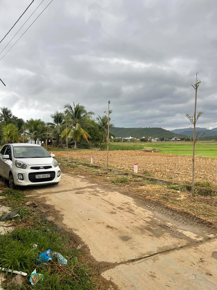 Đất Nền Ninh Hòa 80m² - Sổ Đỏ Đô Thị, Gần Chợ Mỹ Trạch