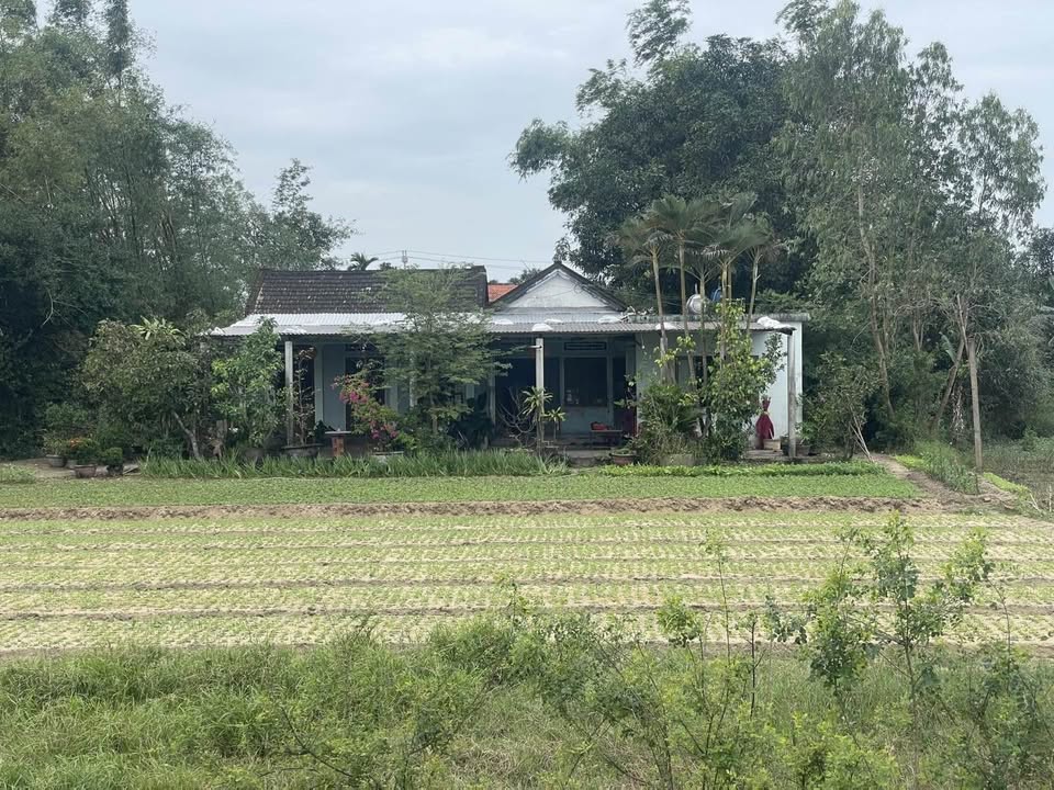 Đất nền Duy Hải, Duy Xuyên 1589m² giá 6.356 tỷ - Cơ hội đầu tư không thể bỏ lỡ!