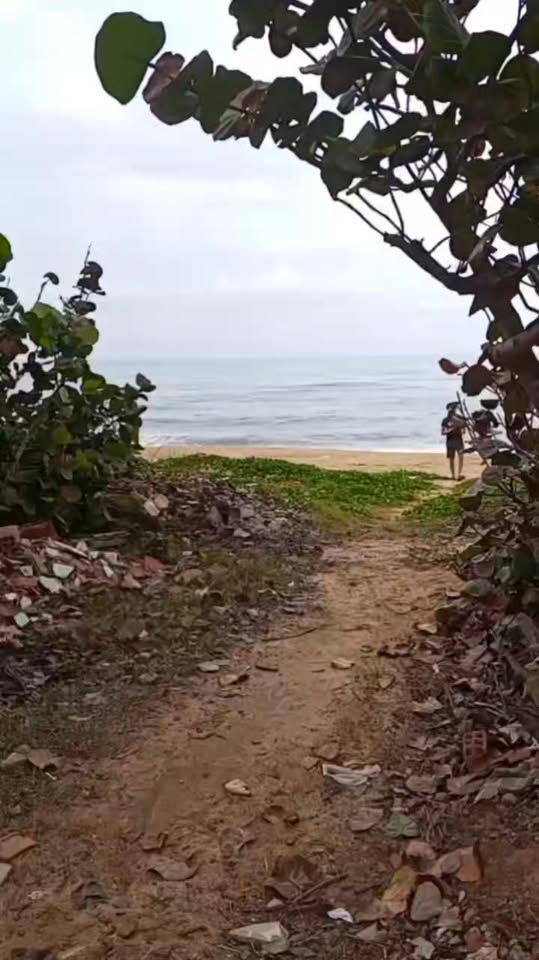 Đất nền liền kề Hoài Hải 90m² - View biển tuyệt đẹp, giá đầu tư hấp dẫn!