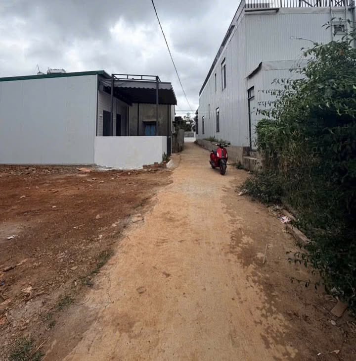 Đất nền hẻm Quang Trung, Thị trấn Phước An, 90m² - Giá tốt, đầu tư hấp dẫn!