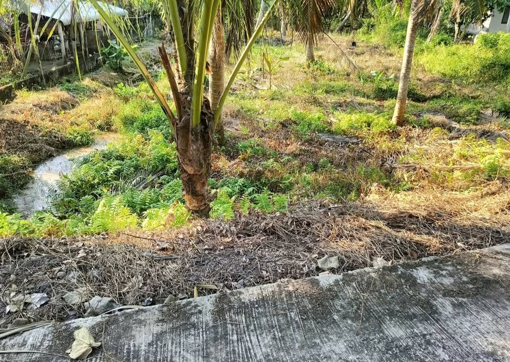 Đất nền Hòa Hiệp, Tam Bình 212m² giá 180 triệu - Cơ hội đầu tư tuyệt vời!