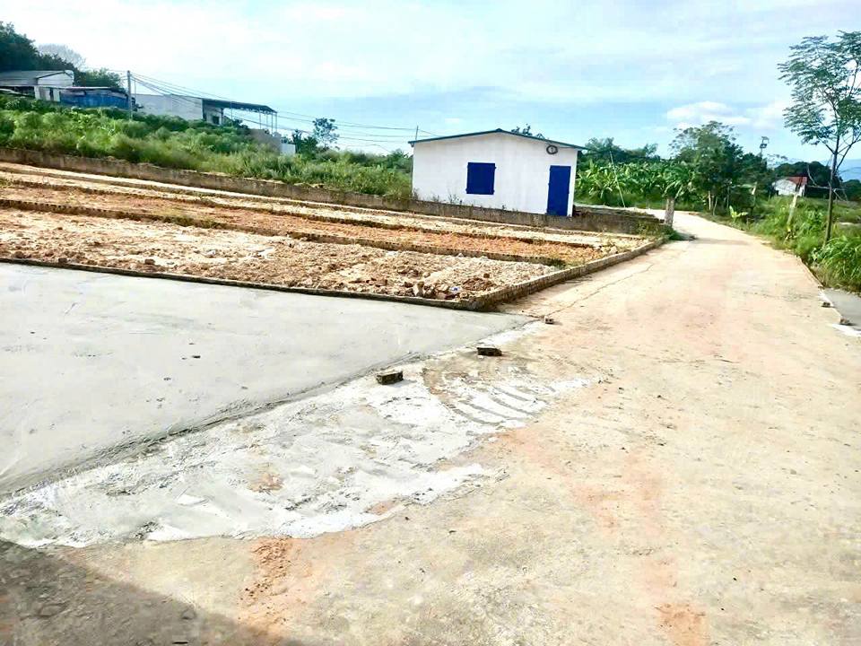 Đất thổ cư 100m² tại Thôn Cổng Sau, Huyện Tam Dương, chỉ từ 600 triệu - Cơ hội đầu tư hấp dẫn!