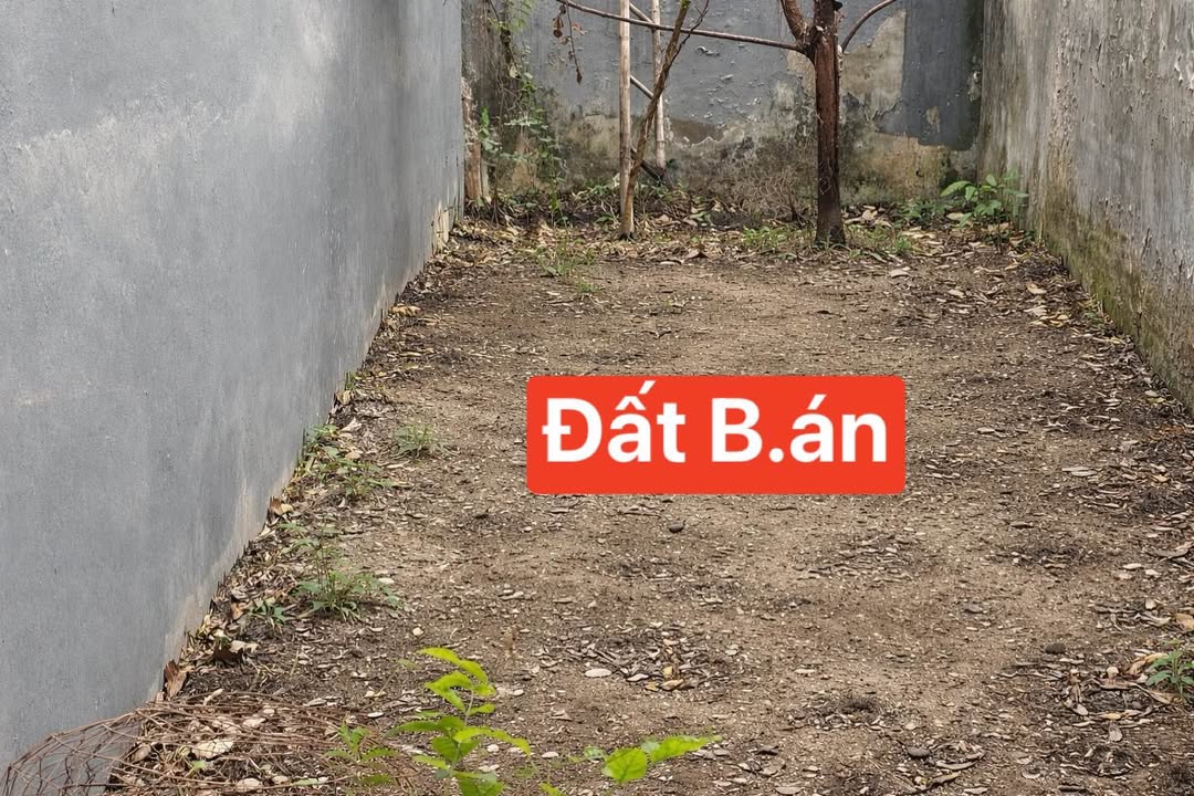 Đất nền Quang Trung, Hà Đông 35.9m² giá 7.2 tỷ - Đầu tư sinh lời ngay!