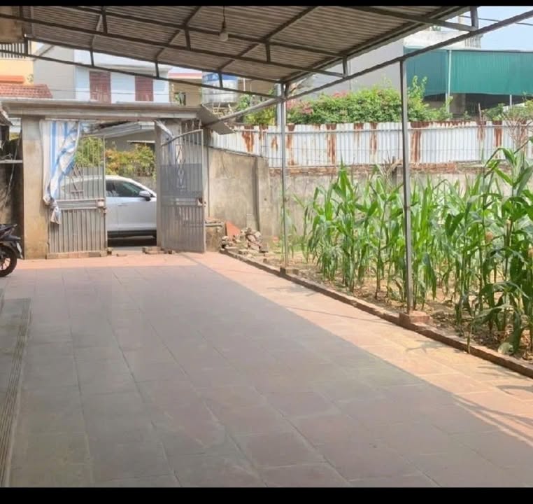 Đất nền tại xã Ngũ Hiệp, huyện Thanh Trì 80m² giá 6 tỷ - Sổ đỏ chính chủ!