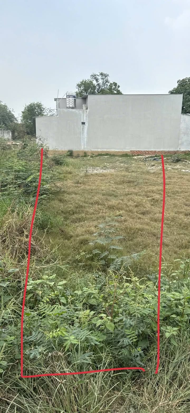 Đất thổ cư 132m² tại Chợ Chiều, Quận 12 - Sổ đỏ chính chủ, giá tốt!