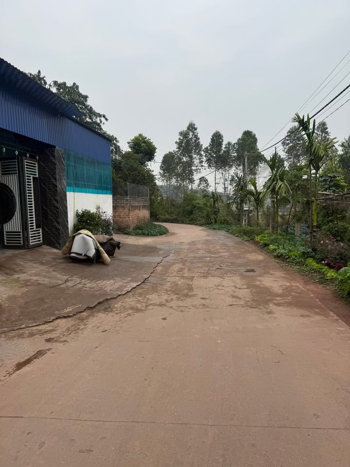 Đất nền thôn 12, xã Hương Lạc, Lạng Giang 248m² - Giá chỉ 900 triệu!