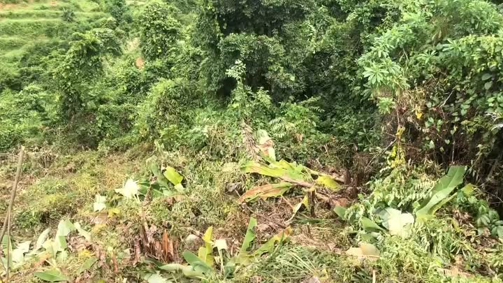 Đất nền Xã Ba Cụm Nam 10.000m² giá 630 triệu - Cơ hội đầu tư hấp dẫn!