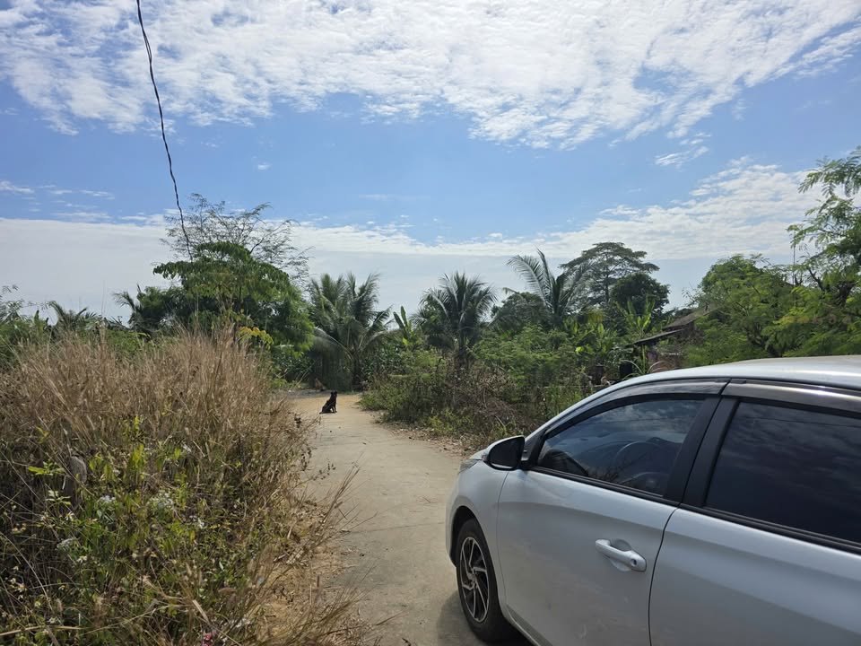 Đất nền Cây Gáo, Trảng Bom 100m² giá 150 triệu - Cơ hội đầu tư tuyệt vời!