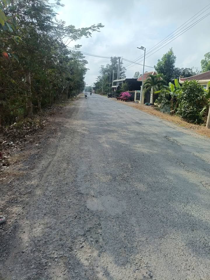 Đất nền liền kề mặt tiền đường Liên Huyện, Xã Phú Thành, 240m² - Cơ hội đầu tư hấp dẫn!