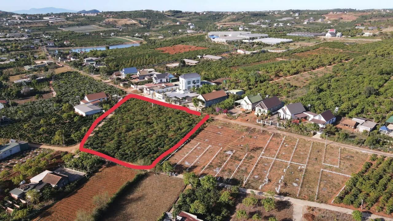 Lô Đất 3 Mặt Tiền Thị Trấn Nam Ban 4225m² Giá 8.5 Tỷ - Cơ Hội Đầu Tư Hấp Dẫn!