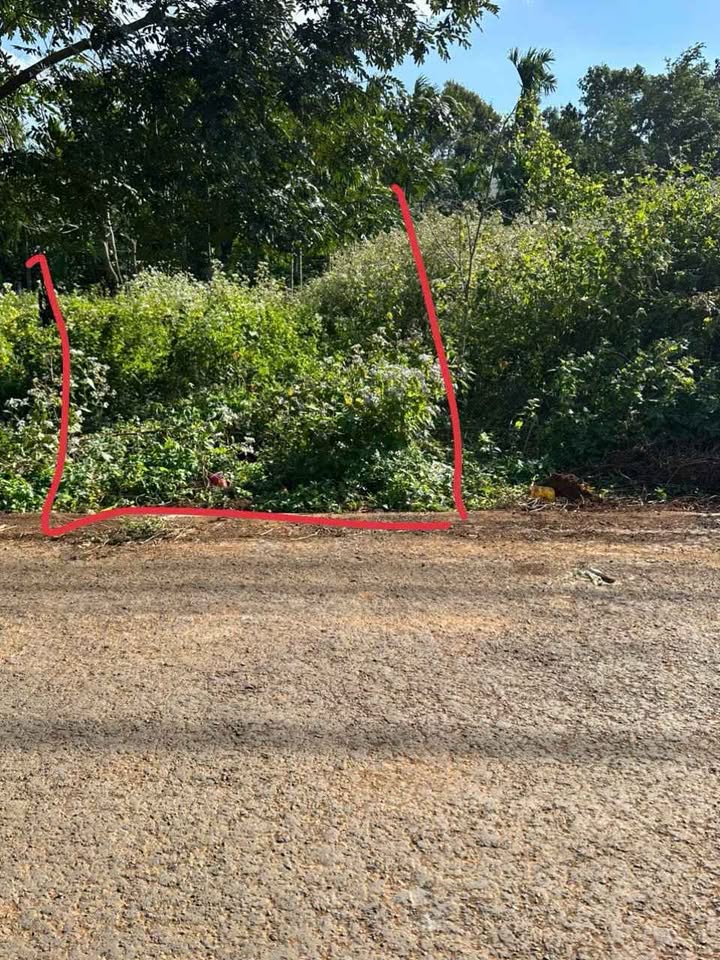 Đất nền Comleo Hòa Thắng 110m² giá 850 triệu - Cơ hội đầu tư hấp dẫn!