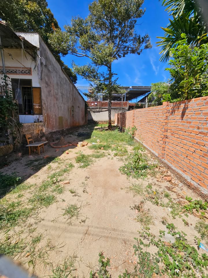 Đất thổ cư hẻm Dã Tượng TP Buôn Ma Thuột 97m² giá chỉ 2.55 tỷ - Cơ hội đầu tư hấp dẫn!