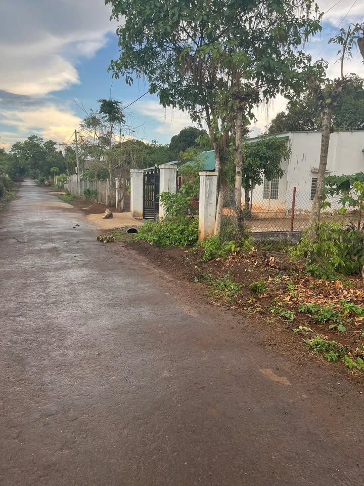 Đất thổ cư 510m² tại hẻm Tỉnh lộ 5, Buôn Ma Thuột - Giá 900 triệu!