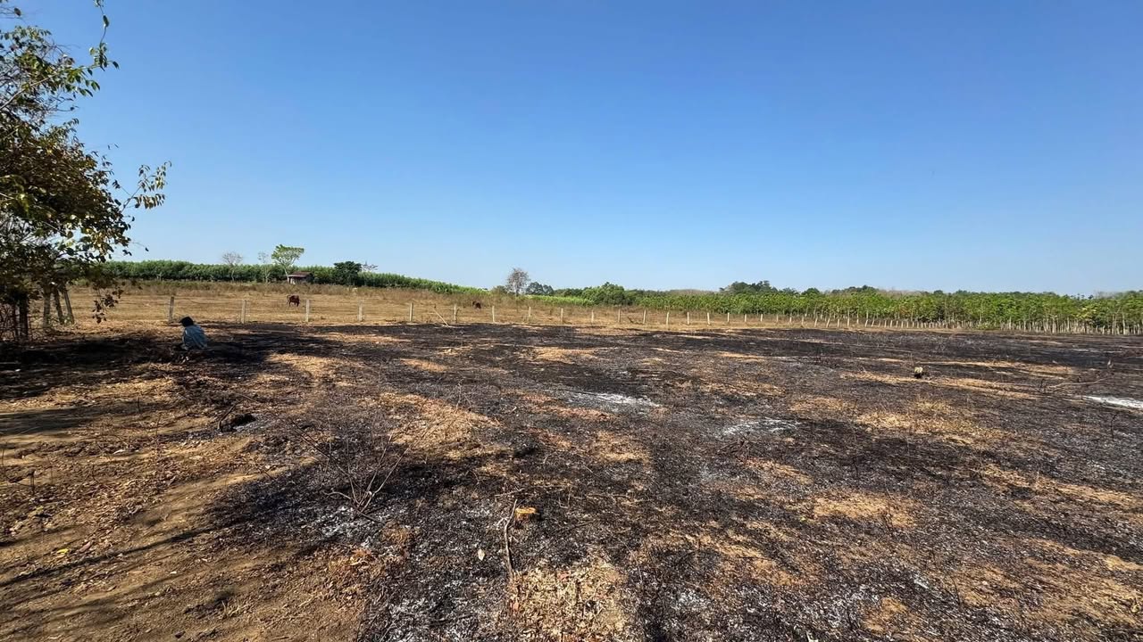 Đất Farm 1,65ha tại Ấp 7, Xã Thanh Hòa - Giá chỉ 1,8 tỷ - View suối tuyệt đẹp!