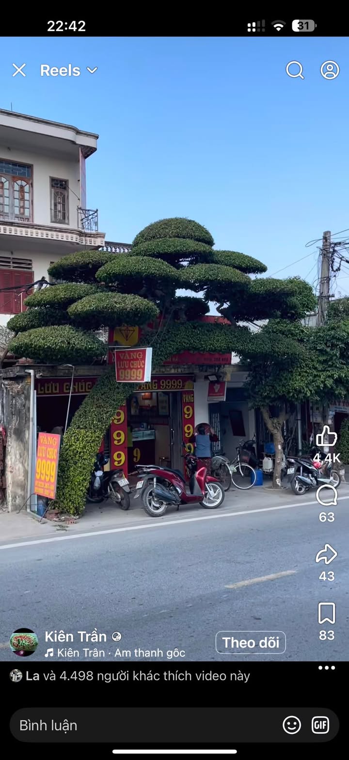 Đất Kỳ Phú Ninh Bình 1400m² giá mềm - Sổ đỏ chính chủ