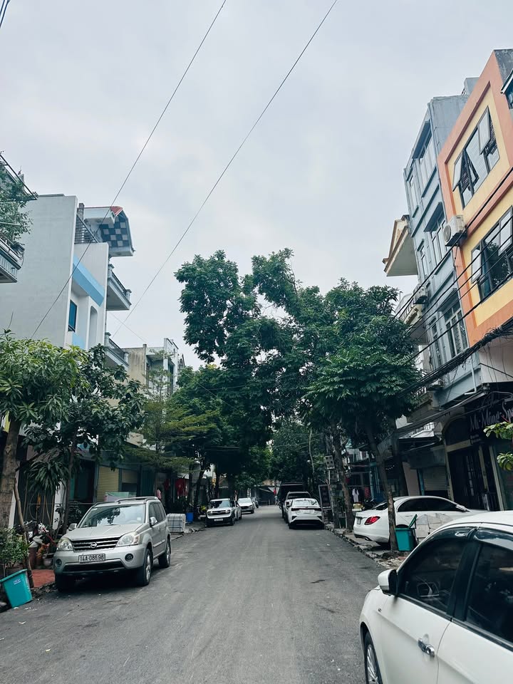 Đất Vàng Cao Xanh - Hạ Long 63m² Sổ Đỏ Sẵn Sàng - Kinh Doanh Lý Tưởng